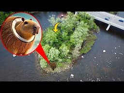 DRONE CATCHES BURBALONI LULILOLI CAPIBARELLO COCOSINI IN REAL LIFE! | ITALIAN BRAIN ROT