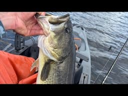 Quest For a Trophy New England Largemouth