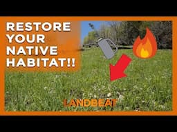 The Amazing Power of Fire in Restoring Natural Landscapes!