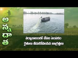 Rainy season care in Fish | ETV Telugu