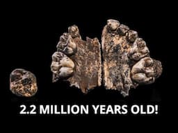 OLDEST Hominin Genetic Data Extracted From 2.2-Million-Year-Old Tooth Shattering Previous Records!