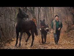 Mountain Isolation – A Man's Quiet Life Surrounded By Mountains And Animals Far From Civilization