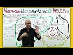 Dr Najeeb Lectures