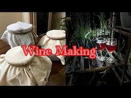 Let’s make some yummy wine ❤️ #wine #winemaking