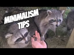 Minimize Clutter: Raccoon Rambles 27
