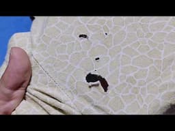 The easiest way to repair holes in a T-shirt without leaving a trace/Do it yourself