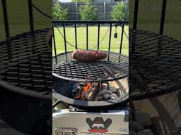 Grilling Tri Tip #grilling #asmr #webergrill