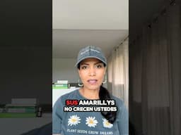 COMÓ HACER CRECER MAS RÁPIDO LAS AMARYLLIS