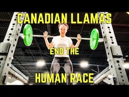 CANADIAN LLAMAS end the HUMAN RACE 🇨🇦🦙