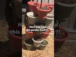🪏Dollar Tree Herb Garden 🪴#gardeningideas #small garden design #dollartree #mygarden