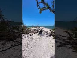 Anchoring at the Sand Bar