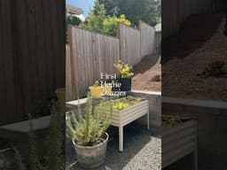 entering my gardening era 🪴 & romanticizing every minute of it!  #gardenvlog