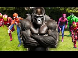Gorilla VS 100 Superheroes!