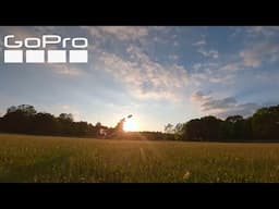Fur, Fins & Feathers | Animals of GoPro | Part 1
