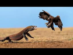 ¡Los Animales Se Metieron Con El Águilas Equivocado!