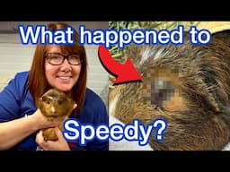 Speedy’s Gruesome Story | Just Another Van Life Day!