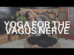 Seated Yoga Class to Stimulate the Vagus Nerve | Nervous System Regulation