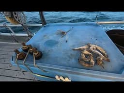 Fueling Up and Catching Cod! | Alaska Jigging