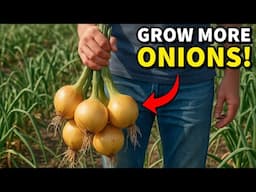 I'll NEVER Grow Onions The Old Way Again After These Results!