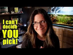 Help! I need YOU to pick my next small scape!