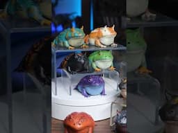 Frog Army of BEELZEBUFO #frog #beelzebufo
