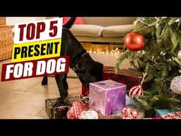 Top 5 Dog Gifts Your Pup Will Love