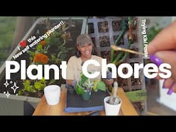 Plant Reset Day | Honest EZCube Thoughts + My Repotting Routine
