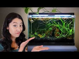 Why I Broke Down My 5-Gallon Planted Tank