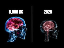 High-Fat Diets: Why Are They So Good For Your Brain?