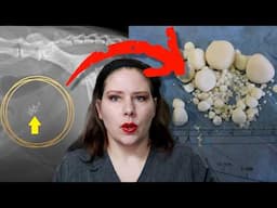 Prevent Bladder Stones: A Vet’s Guide to Uroliths
