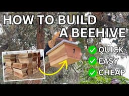 How To Build A Beehive - The Easiest and Cheapest Hive Design
