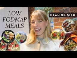 Low FODMAP meals I ate while healing SIBO