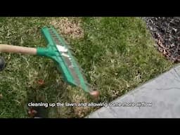 5 things to do or not to do with your lawn in early spring!