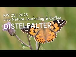18. Juni 25 | Nature Journaling & Coffee ☕️ | KW 25 | 2025: Distelfalter