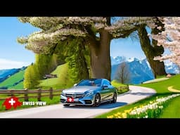 🇨🇭DRIVING IN SWITZERLAND _ SPECTACULAR ROAD TRIP📍BRIENZ