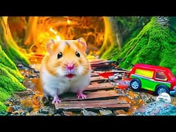 🛑 Ultimate Hamster Escape Run Deadly Prison Maze in Real Life | Hamster Life