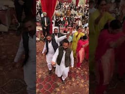 ਸੂਹੇ ਵੇ ਚੀਰੇ ਵਾਲਿਆਂ 🤩 #punjabimusic #livemusicshow #funnyvideo #marriagevideo #punjabimusiclover