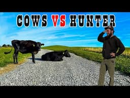 MAJOR CATTLE PROBLEM ON MY NEW DEER FARM