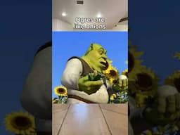 job interview with Shrek