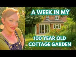 A WEEK IN MY 100 YEAR OLD COTTAGE GARDEN: A GARDENER’S YEAR 2025: MAY - WEEK FIVE - EPISODE NINETEEN