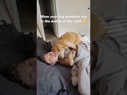 Waking up and your dog is nowhere to be found 😭