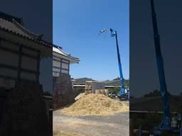 Leap of faith IRL