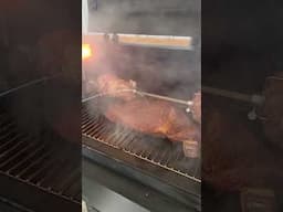 Best to drip tallow on your brisket using the GMG rotisserie attachment