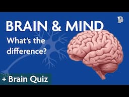 What's The Difference Between The Brain & Mind (2025) Brain Quiz