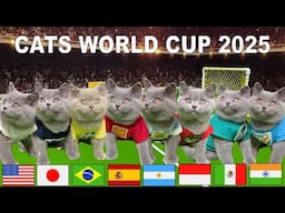 🐾 Cats World Cup 2025 | Cute Kittens Compete for Global Glory! 🇺🇸⚽