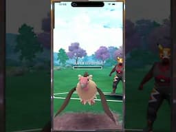 MORPEKO is just TOO STRONG!  #pokemongopvp