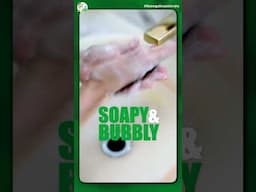 World Hand Hygiene Day: Gut Health Wisdom By Dr. Shilpa Arora