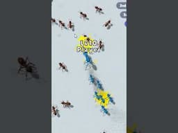 Growing The Biggest Ant Army
