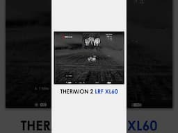 Take a glance at the footage of deers captured with our new scope Thermion 2 LRF X60. #pulsarvision
