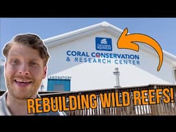 How Apex Helps Spawn Corals at the Florida Aquarium